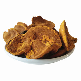 东北桑黄灵芝林芝桑黄菌 黑龙江暴马丁香桑黄500g整支暴马丁野生