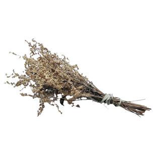 六月霜茶临安高山野茶花防解渴夏天喝凉茶刘寄奴奇蒿带花籽整把发