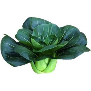 苏州青黑大大头菜 油亮种子菜籽脚上蔬菜菜蔬原装青菜上海青大叶