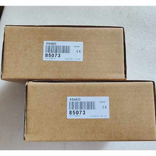 溢价-BANNER邦纳安全继电器 XS4SO