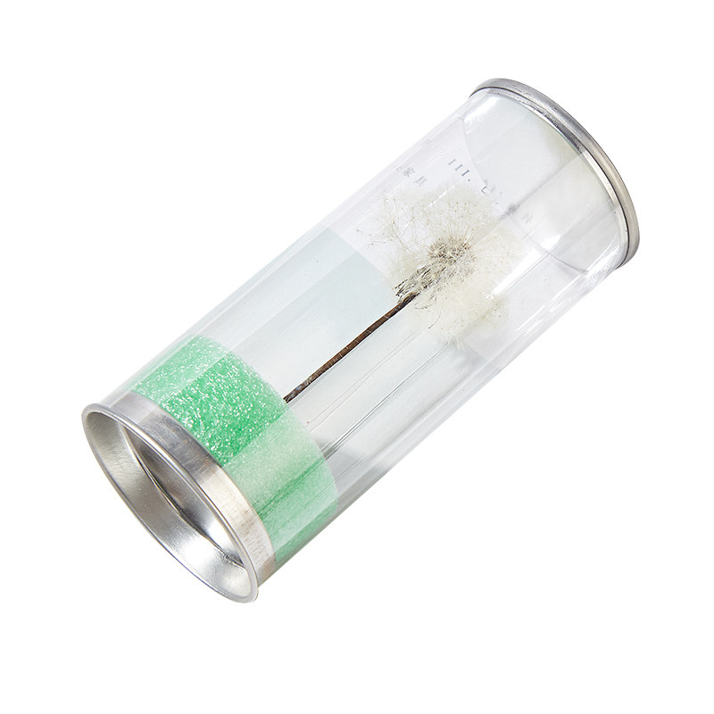 蒲公英干花永生花滴胶标本玻璃树脂球材料手工diy玻璃罩保鲜花材