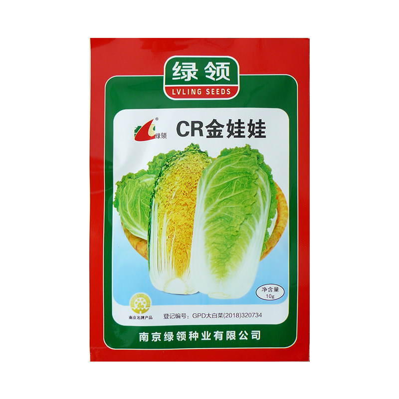四季早熟娃娃菜种子春秋季