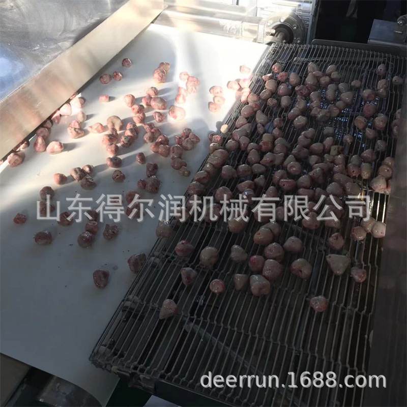 巧克力涂层机 冻干草莓巧克力裹涂机 爆浆曲奇多功能果蔬脆涂层机