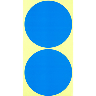 彩色圆点贴圆贴纸圆形不干胶标签纸手写大号名字圆圈数字号码幼儿园姓名贴编号红色即时标贴纸自粘胶贴分组