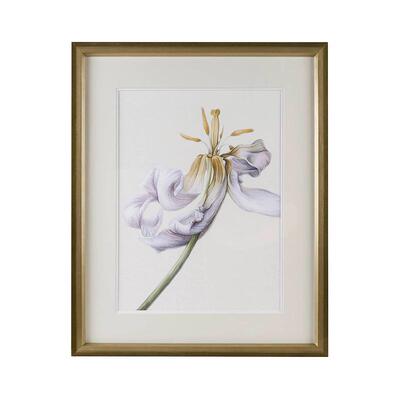 新品HarborHouse美式家居客厅玄关墙饰墙面挂画花朵装饰画Keira