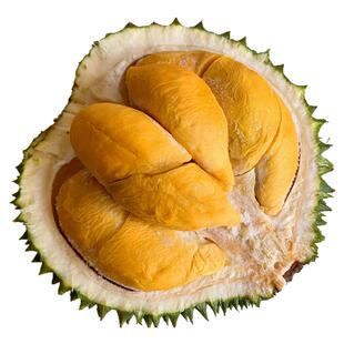 马来西亚进口D200黑刺榴莲液氮冷冻整果新鲜树熟水果顺丰冷链包邮