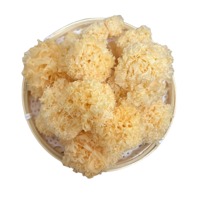 古田椴木小银耳软糯雪耳出胶多