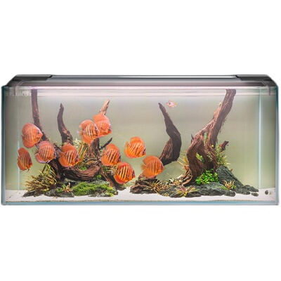 吉印艳红led防水照明增艳灯