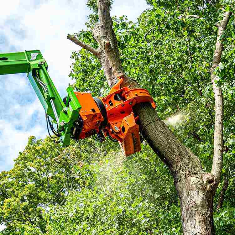 挖改液压伐木机抱夹锯汽油油锯18寸割树机多功能抱夹锯挖掘机,农机/农具/农膜,割灌机/割草机/油锯,淘宝优惠券,粉丝福利购,淘宝优惠卷