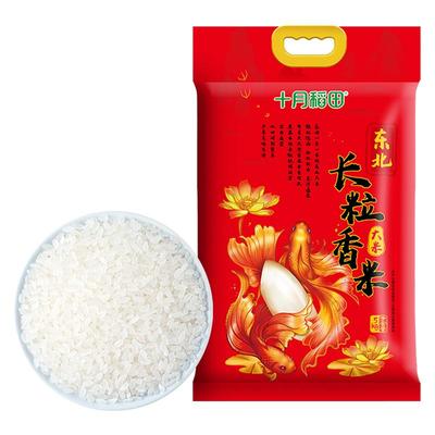 25年新米十月稻田长粒香大米5kg