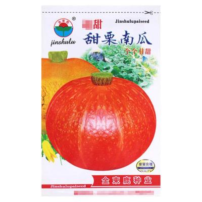 蔬菜香甜板栗味南瓜种子