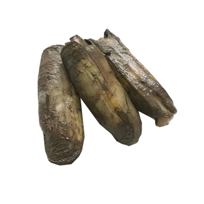 宁海小海鲜海涂现挖顺丰发货