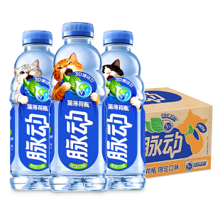脉动猫薄荷瓶限定口味600ml*15瓶整箱低糖电解质维生素做运动饮料