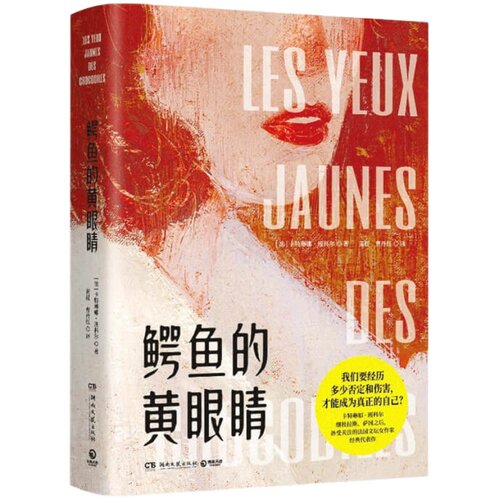 鳄鱼的黄眼睛 卡特琳娜班科尔 著 外国现当代文学小说 女性主义文学代表作 从逆境中寻找重生的希望 励志