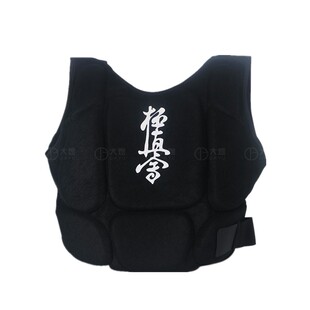 极真会护胸极真空手道护胸护甲跆拳道护胸跆拳道护甲男女护胸通用