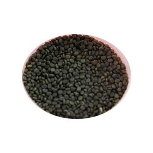 学生养蚕桑蚕卵夏蚕幼虫生桑叶龄金丝七彩种新鲜学套装蚕宝宝养蚕