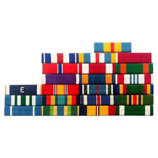 军迷美国原版美式军官校官将军礼服彩色胸条胸徽章勋略章资历章架