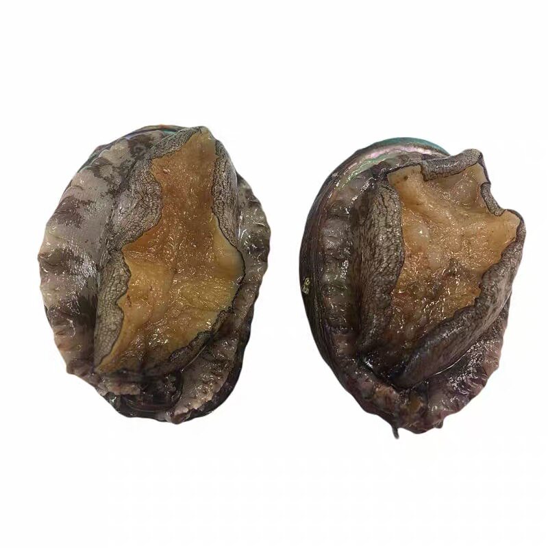 长岛自晒无添加鲍鱼干250g不漂白