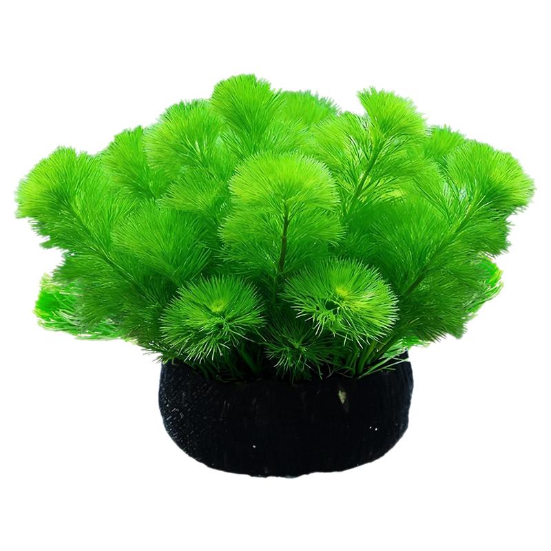 绿菊水草坨草鱼缸造景阴性水族箱蜈蚣草大小坨小宝塔养龟净水增氧