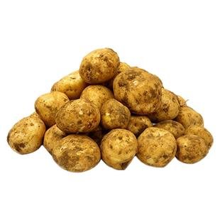 贵州威宁黄皮黄心威宁老土豆黄心仔农家自种马铃薯老品种米拉洋芋