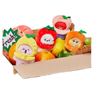 BT21 mini minini水果系列玩偶卡通萌趣毛绒LINE FRIENDS