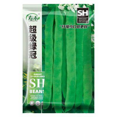超级绿冠架芸豆种子早熟高产