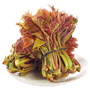 2026香椿芽新鲜头茬嫩芽香椿菜香春芽红油当季时令蔬菜3斤装包邮