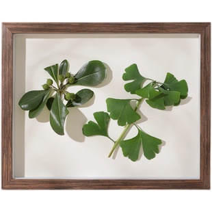 立体中空标本框A4diy手工相框摆台6蝴蝶植物粘土干花加厚展示画框