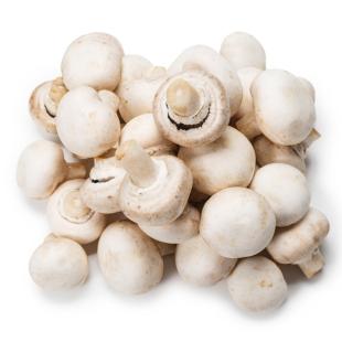 新鲜白蘑菇500g 现摘口蘑菇食用菌菇双孢菇煲汤火锅炒菜时令蔬菜