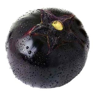 圆茄子苗秧苗子嫁接圆茄大龙长茄紫黑杭茄线茄青水小茄子四季盆栽