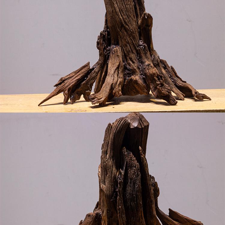 树桩沉木生命之树造景水族造景组合沉木树林枯木鱼缸造景木小缸树