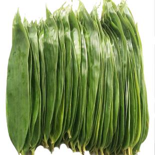 粽叶新鲜粽子叶大号箬叶重庆粽叶包粽子专用四川非芦苇免邮干棕叶