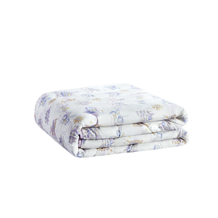 霍格Hoag婴儿被子儿童宝宝a类纯棉冬被幼儿园专用加厚小被子盖毯