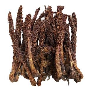 长白山野生不老草苁蓉泡酒料煲汤料列当泡茶回春草50克包邮
