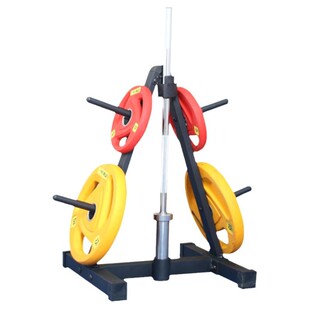 杠铃片收纳架家用哑铃片放置挂架子杠铃杆奥杆存储存放托车器材架