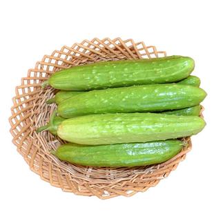 顺丰海阳白玉小黄瓜青瓜横扫生吃水果农家孕妇新鲜蔬菜5斤箱包邮
