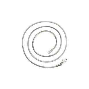 蛇骨链钛钢项链男款潮轻奢小众设计感链子细男士高级男生细锁骨链