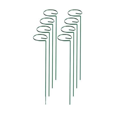 植物支撑杆朱顶红绣球兰防倒伏