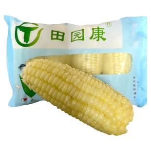 田园康新疆白糯玉米棒速冻软糯香甜早餐粗粮非转基因新鲜农科院