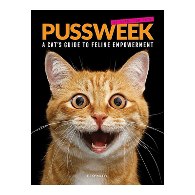 【现货】Rafael Lozano-Hemmer 拉斐尔·洛扎诺.亨默 电子装置艺术家 互动式艺术书籍进口原版