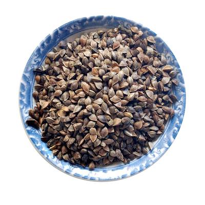 五谷杂粮带壳荞麦带皮三角麦乌麦