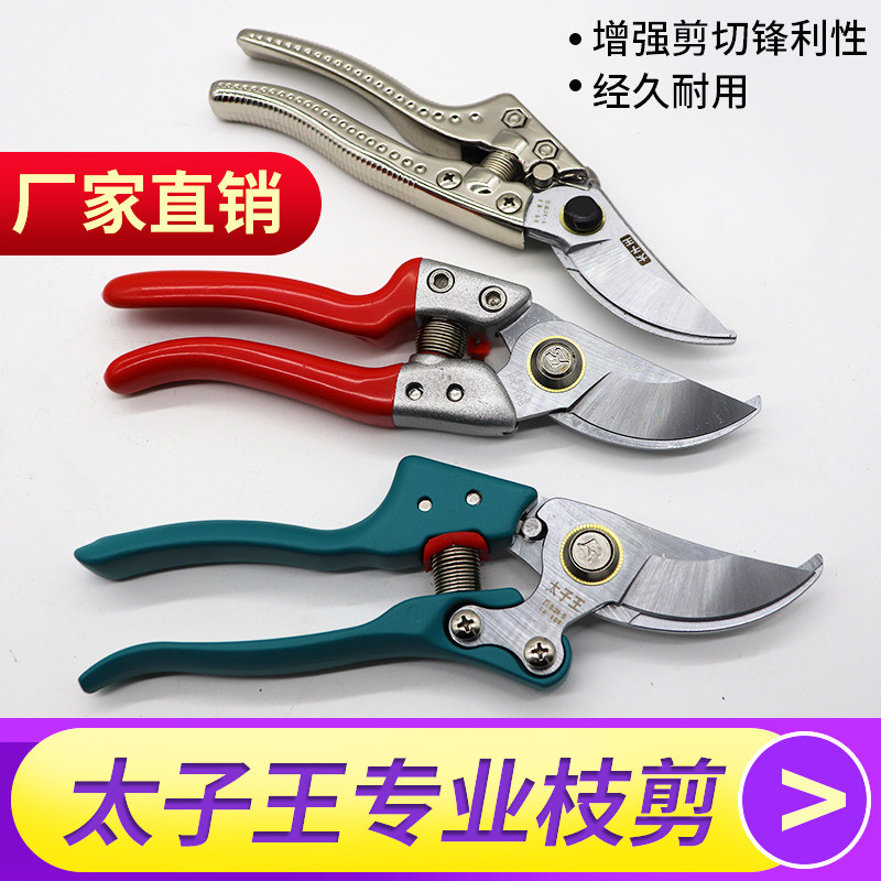 .太子王果树修枝剪刀粗枝剪家用树枝剪园艺剪桑剪花卉剪