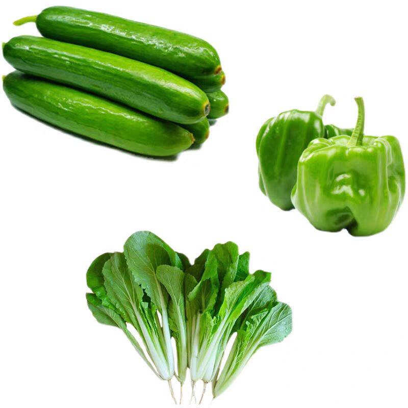 蔬菜种蔬菜种籽瓜果种子籽孑香菜小葱玉米种子盆栽阳台园艺四季