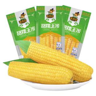 2025头茬黄金铝箔玉米糯东北玉米真空包装苞米软糯香拉丝10根大棒