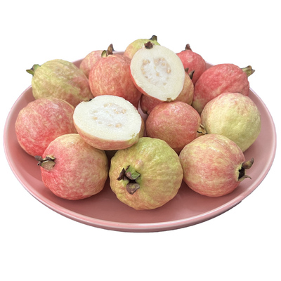 软糯香甜胭脂红精品老树低糖降脂