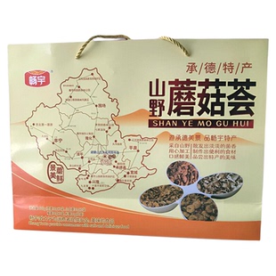 承德野生蘑菇礼盒畅宇肉蘑菇松蘑白蘑榛蘑礼盒山野蘑菇荟600g新货