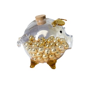 「左耳说」黄金小金豆收纳小猪玻璃瓶足金一克999储存钱罐金元宝