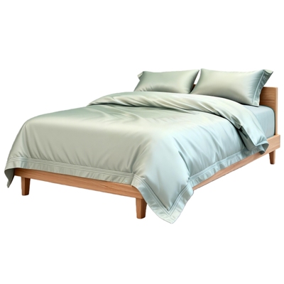 防螨四件套纯棉双股高密100支