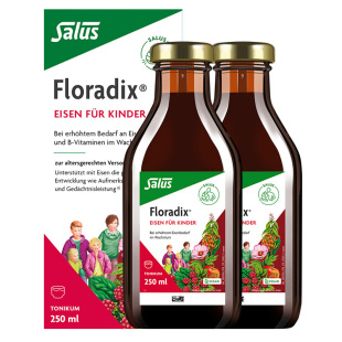 Floradix 德国儿童铁元青少年补铁调气养血调血亏促记忆250ml*2