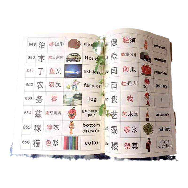 悦琪宝早教千字文指读本汉英国学宫有声看图识字巨型标钉中英软件